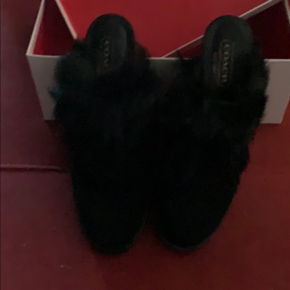 Coach.....black shoes - mules - Picture 1 of 4